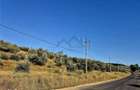 Teren de 27660 mp in Letcani - 2