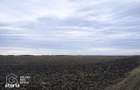 Teren agricol de vanzare, 17.900 mp, comuna Utvin - 2