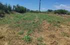 Teren de 1000 mp, în Copăceni - 1