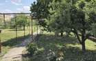 Casa de vanzare, pret 80000 euro - 6