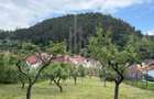 Casă rustică de vânzare în Tilișca, (Marginimea Sibiului) - 8