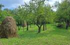 Teren intravilan de vanzare 5991.mp loc ?otrile