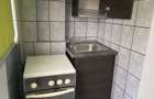 Inchiriez apartament cu 2 camere, zona Dacia - 6