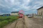 Teren Intravilan, Ovidiu, Spre Poiana,3 loturi de 302 mp fiecare - 7