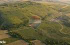 Teren 2,57 ha langa Viscri | agricultura sau ferma | comision 0