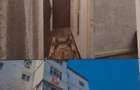 Garsoniera de vanzare direct de la proprietar . - 3