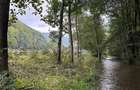 teren de vanzare ideal pentru pensiune, camping, etc. - 6