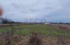 RECO Teren intravilan in Bors cu front mare - 2