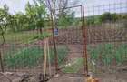 Oportunitate investi?ie: Doua case (construc?ie noua + batraneasca renovata) ) in aceea?i curte - 3