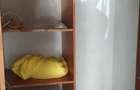 Apartament 2 camere confort semidecomandat 1 spatios.