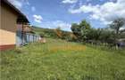 TEREN INTRAVILAN EXTRAVILAN | DE VANZARE | 1200 MP | ROSIA | BIHOR | - 5