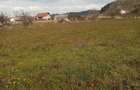 OFERTA! URGENT Teren de vanzare - 2