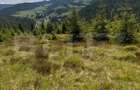 Teren partial intravilan ,9700 mp Oportunitate ,Belis - 5