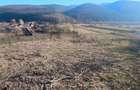 Teren de vanzare - 1700m2 Sard - 15