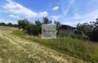 Teren de 11.000 mp cu casa si teren agricol | La 40 km de Bucuresti | - 3