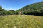Teren intravilan 4600mp - 55 EUR/mp - EXCLUSIVITATE CISNADIOARA - COMI - 12