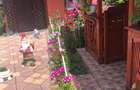 Casa vanzare Vulpeni Olt sau schimb cu garsoniera Craiova - 7