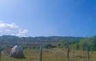 Teren intravilant Ionesti, toate utilita?ile, solarii ?i pomi fructiferi - 4