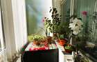 Etaj 2- Tatarasi Flora-2 Camere Semidecomandat 50mp-bloc fara risc - 2