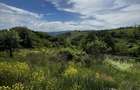 Teren intravilan, 1700 mp, Dangau