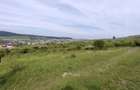 8.700 mp pentru dezvoltare rezidentiala la 3 km de CREIC - Chinteni