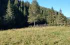 Teren de vanzare 3800 m2 - 2