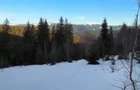 Vand teren intravilan Pojorata Bucovina, 15 e mp - 2