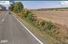 Teren 1 hectar la DN 15B -Deschidere 39 ml - Investitie Comerciala - 1