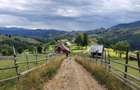 Teren de vanzare, 8.800 mp, Sat Pestera, Comuna Moieciu extravilan Vedere superba Bucegi & Piatra Craiului |deal pentru A-frame, case de vacanta - 5