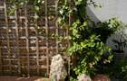 Exclusivitate-Eforie Nord,ap. 2 camere, parter, mobilat,curte proprie 23mp,boxa - 11