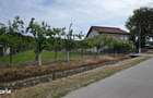 Casa/Spatiu Comercial - Genuneni