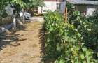 Casa P+E zidarie Frumusani CL - 2