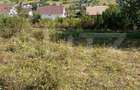Teren extravilan, 15 arii, pretabil pentru investitii, construibil - 5