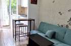 Apartament 1 camera de inchiriat Podu Ros - 2