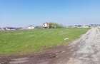 Teren intravilan, 2810 mp, Branesti, sat Islaz, acces din 2 strazi - 5