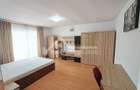 Apartament cu o camera de inchiriat, 35 mp+balcon, Zorilor Str.Viilor - 4