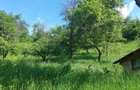Casa gospodarului, înconjurată de natură, Comarnic - 11