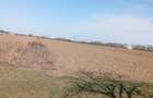 Vand teren odoreu martinest satu mare - 3