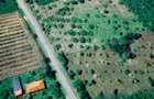 Teren intravilan 10.000 mp | Deschidere 40 m | Zona de pad - 3