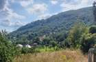 De vanzare: Teren 1000 mp intravilan in Bunesti - Malureni, Arges - 3