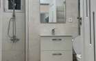 Apartament Open Space cu 2 camere de inchiriat Dorobanti-Scolilor - 3