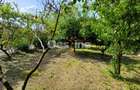 Casa + teren 584 mp de vanzare in Buftea - 1