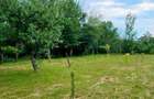 Casa de Vacanta Teren 2.952 mp Cerna Vaideeni Jud Valcea 70.000 E - 4