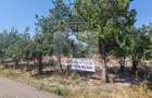 Proprietar vand teren -Teleorman-Radoiesti/Cetate-Comision 0!