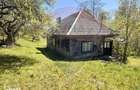 Casa traditionala,teren 6.039 mp DESESTI Maramures - 1