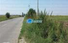 Vanzare Teren Intravilan Herasti Giurgiu 2 HA - 2