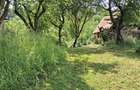 Casa la tara , curte/gradina 3450 m2 PRET NOU - 3