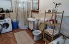 Proprietar vand casa in Ianova, 20 km de TImisoara - 5
