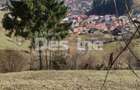 Teren 5000 mp, ideal cabana, pensiune, in zona de interes - 10