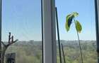 Apartament 3 camere 2 bai complet mobilat si utilat - 13